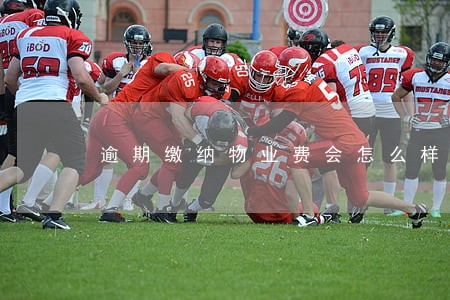 逾期缴纳物业费会怎么样 逾期缴纳物业费会怎么样