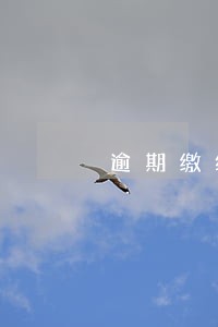 逾期缴纳物业费收违约金 逾期缴纳物业费收违约金