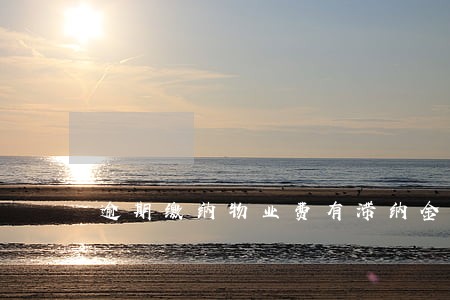 逾期缴纳物业费有滞纳金吗 逾期缴纳物业费有滞纳金吗