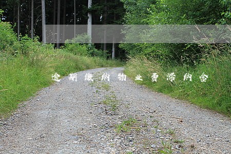 逾期缴纳物业费滞纳金 逾期缴纳物业费滞纳金