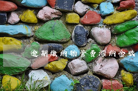 逾期缴纳物管费滞纳金收取标准 逾期缴纳物管费滞纳金收取标准