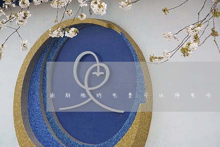 逾期缴纳电费可以停电吗 逾期缴纳电费可以停电吗