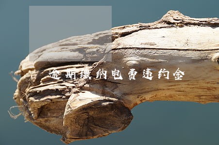 逾期缴纳电费违约金 逾期缴纳电费违约金