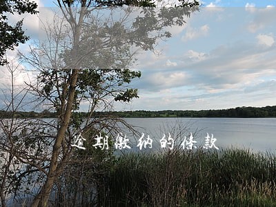 逾期缴纳的条款