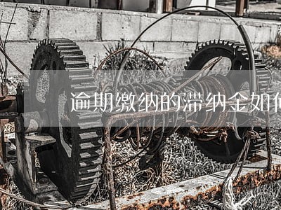 逾期缴纳的滞纳金如何计算 逾期缴纳的滞纳金如何计算