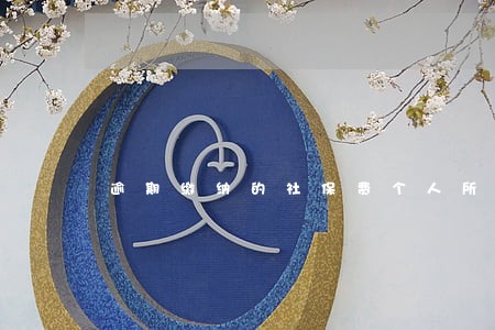 逾期缴纳的社保费个人所得税 逾期缴纳的社保费个人所得税