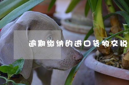 逾期缴纳的进口货物交税 逾期缴纳的进口货物交税