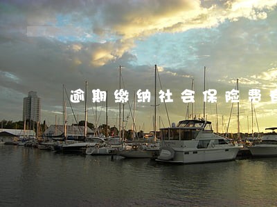 逾期缴纳社会保险费有费用 逾期缴纳社会保险费有费用