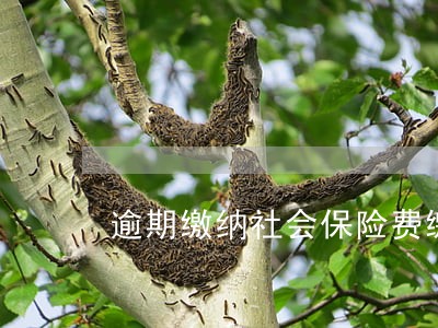 逾期缴纳社会保险费缴纳利息 逾期缴纳社会保险费缴纳利息