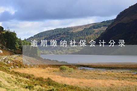 逾期缴纳社保会计分录 逾期缴纳社保会计分录