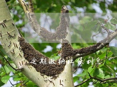 逾期缴纳社保利息 逾期缴纳社保利息