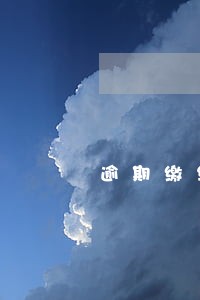 逾期缴纳社保怎么做账