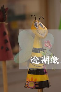 逾期缴纳社保怎么办 逾期缴纳社保怎么办