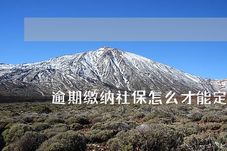 逾期缴纳社保怎么才能定点医院 逾期缴纳社保怎么才能定点医院