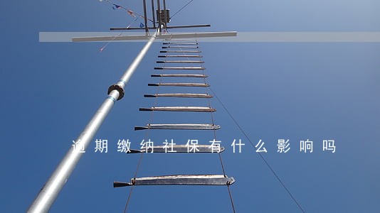 逾期缴纳社保有什么影响吗 逾期缴纳社保有什么影响吗