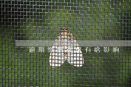 逾期缴纳社保有啥影响