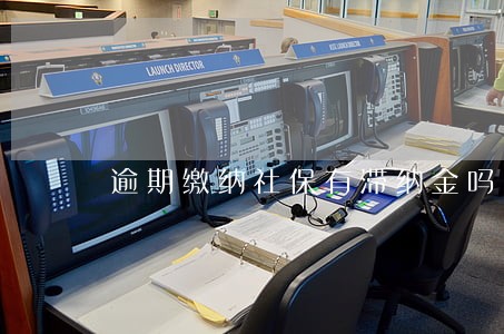 逾期缴纳社保有滞纳金吗 逾期缴纳社保有滞纳金吗