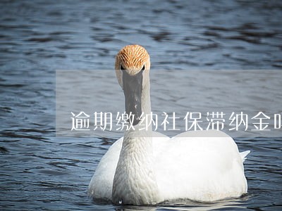 逾期缴纳社保滞纳金吗 逾期缴纳社保滞纳金吗