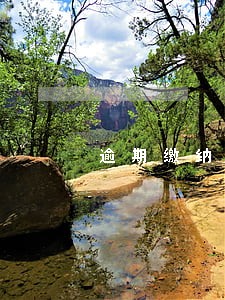 逾期缴纳社保滞纳金怎么算 逾期缴纳社保滞纳金怎么算
