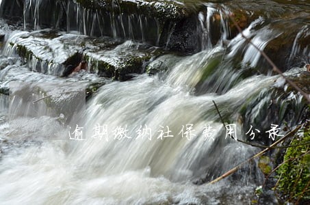 逾期缴纳社保费用分录 逾期缴纳社保费用分录