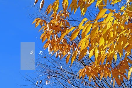 逾期缴纳租房租滞纳金多少钱 逾期缴纳租房租滞纳金多少钱