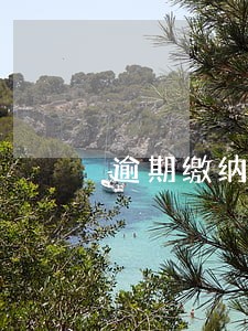 逾期缴纳租金是什么意思 逾期缴纳租金是什么意思