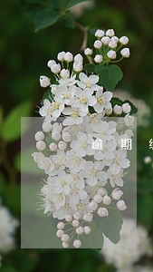 逾期缴纳租金滞纳金为多少 逾期缴纳租金滞纳金为多少