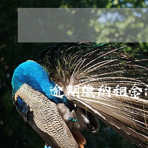逾期缴纳租金滞纳金多少 逾期缴纳租金滞纳金多少