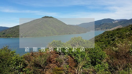 逾期缴纳租金起函 逾期缴纳租金起函