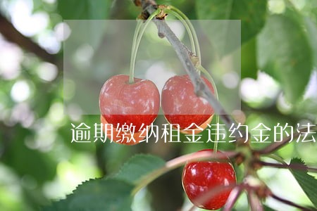 逾期缴纳租金违约金的法律规定 逾期缴纳租金违约金的法律规定