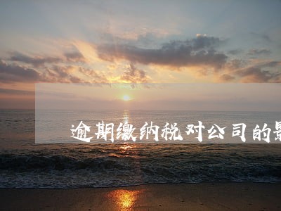 逾期缴纳税对公司的影响 逾期缴纳税对公司的影响