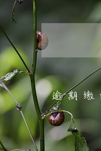 逾期缴纳税收滞纳金怎么算 逾期缴纳税收滞纳金怎么算