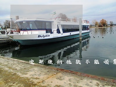 逾期缴纳税款不能领票 逾期缴纳税款不能领票