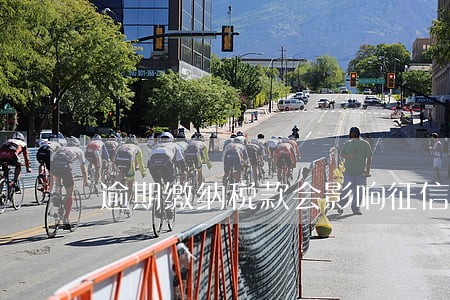 逾期缴纳税款会影响征信吗 逾期缴纳税款会影响征信吗