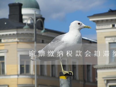 逾期缴纳税款会扣滞纳金吗 逾期缴纳税款会扣滞纳金吗
