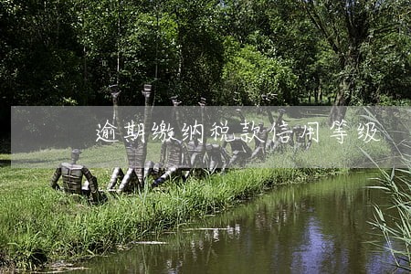 逾期缴纳税款信用等级 逾期缴纳税款信用等级