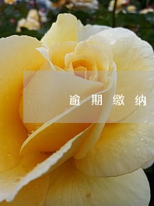 逾期缴纳税款扣分 逾期缴纳税款扣分