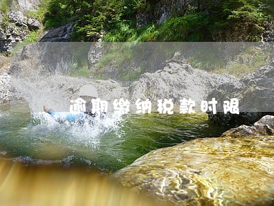 逾期缴纳税款时限