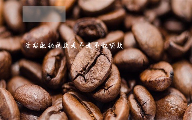 逾期缴纳税款是不是不能贷款 逾期缴纳税款是不是不能贷款