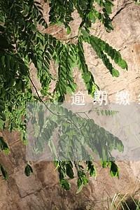 逾期缴纳税款是否属于违法 逾期缴纳税款是否属于违法