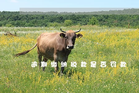 逾期缴纳税款是否罚款 逾期缴纳税款是否罚款