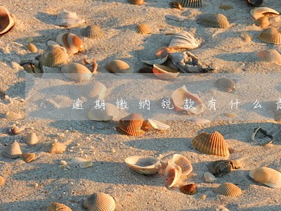 逾期缴纳税款有什么责任