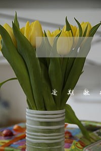 逾期缴纳税款有罚款吗 逾期缴纳税款有罚款吗