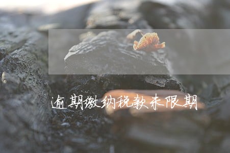逾期缴纳税款未限期 逾期缴纳税款未限期