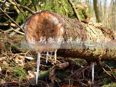 逾期缴纳税款每日加多少 逾期缴纳税款每日加多少