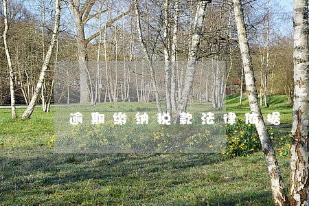 逾期缴纳税款法律依据 逾期缴纳税款法律依据