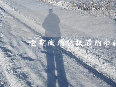 逾期缴纳税款滞纳金税率