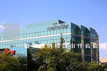 逾期缴纳税款由什么影响 逾期缴纳税款由什么影响