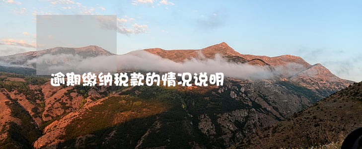 逾期缴纳税款的情况说明