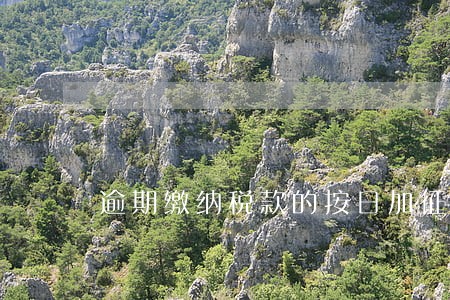 逾期缴纳税款的按日加征滞纳税款